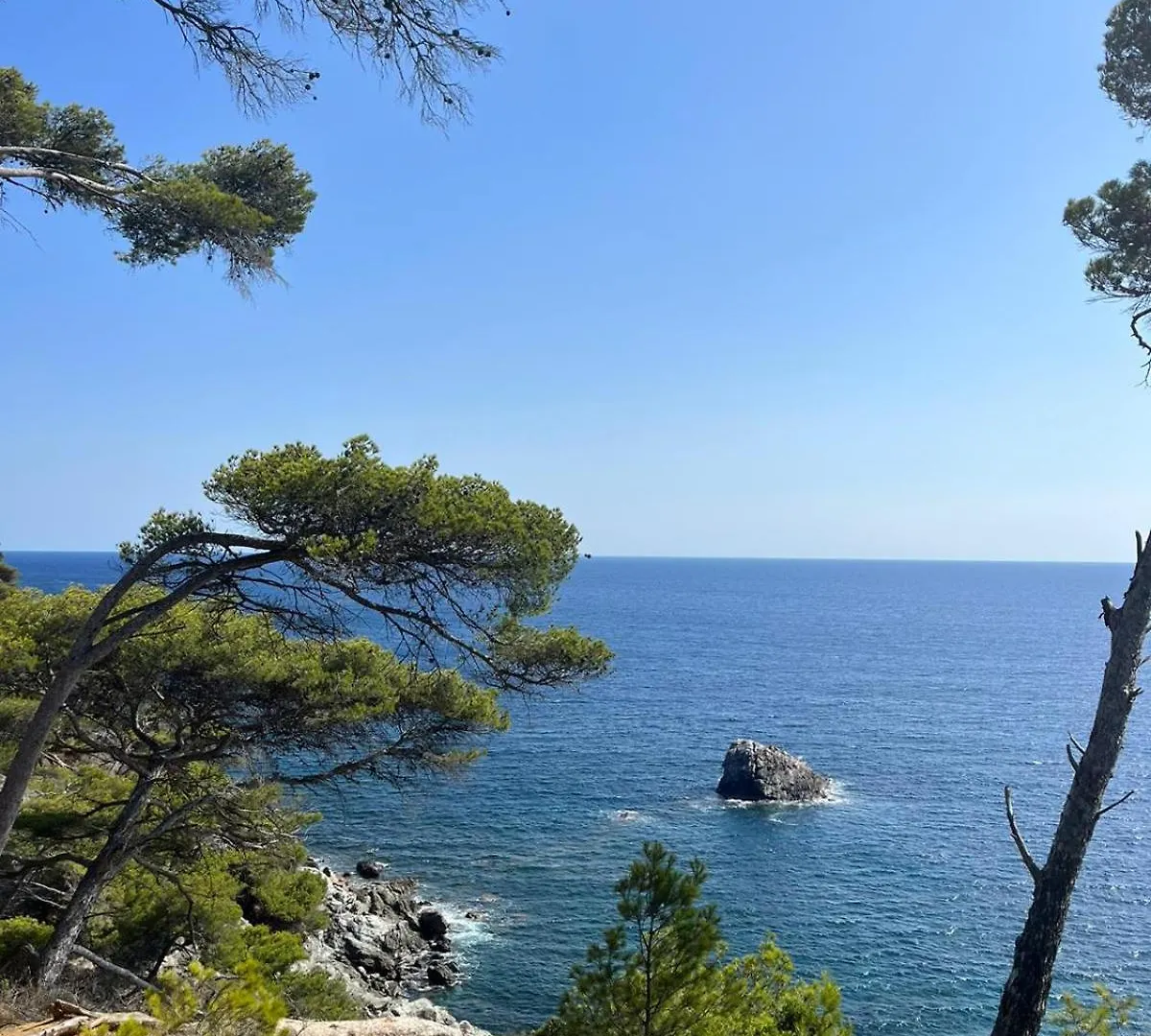 Lägenhet Studio Avec Rez De Jardin Six-Fours-les-Plages