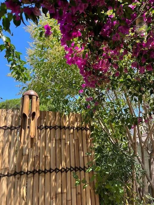 Studio Avec Rez De Jardin Six-Fours-les-Plages