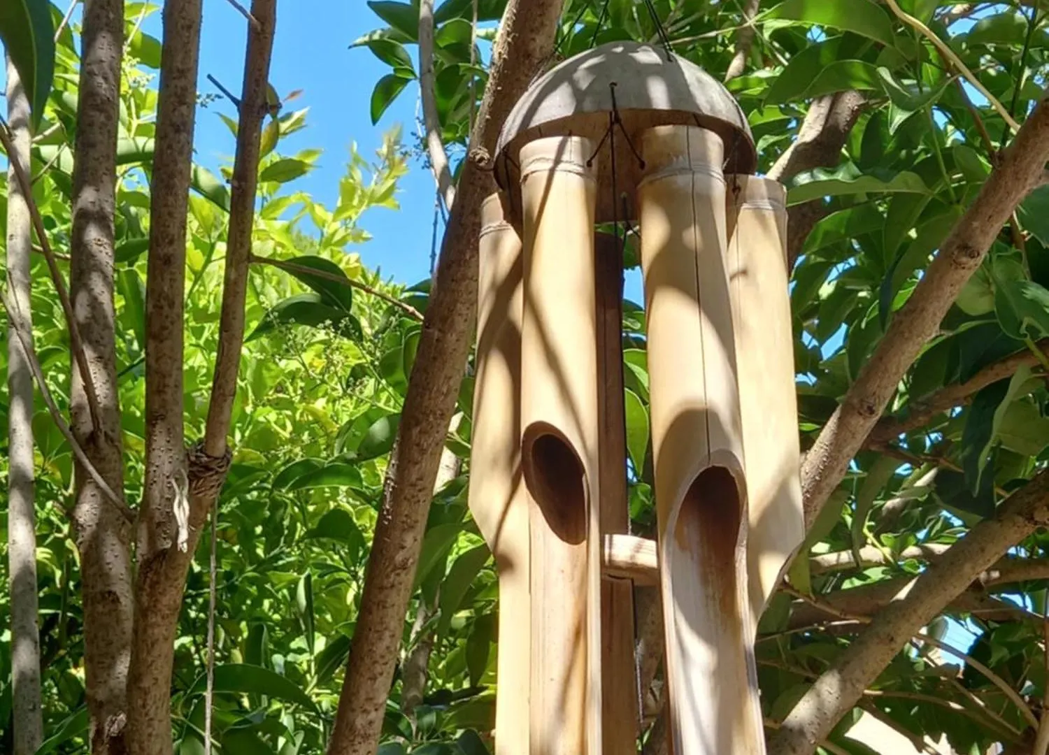 Studio Avec Rez De Jardin Six-Fours-les-Plages