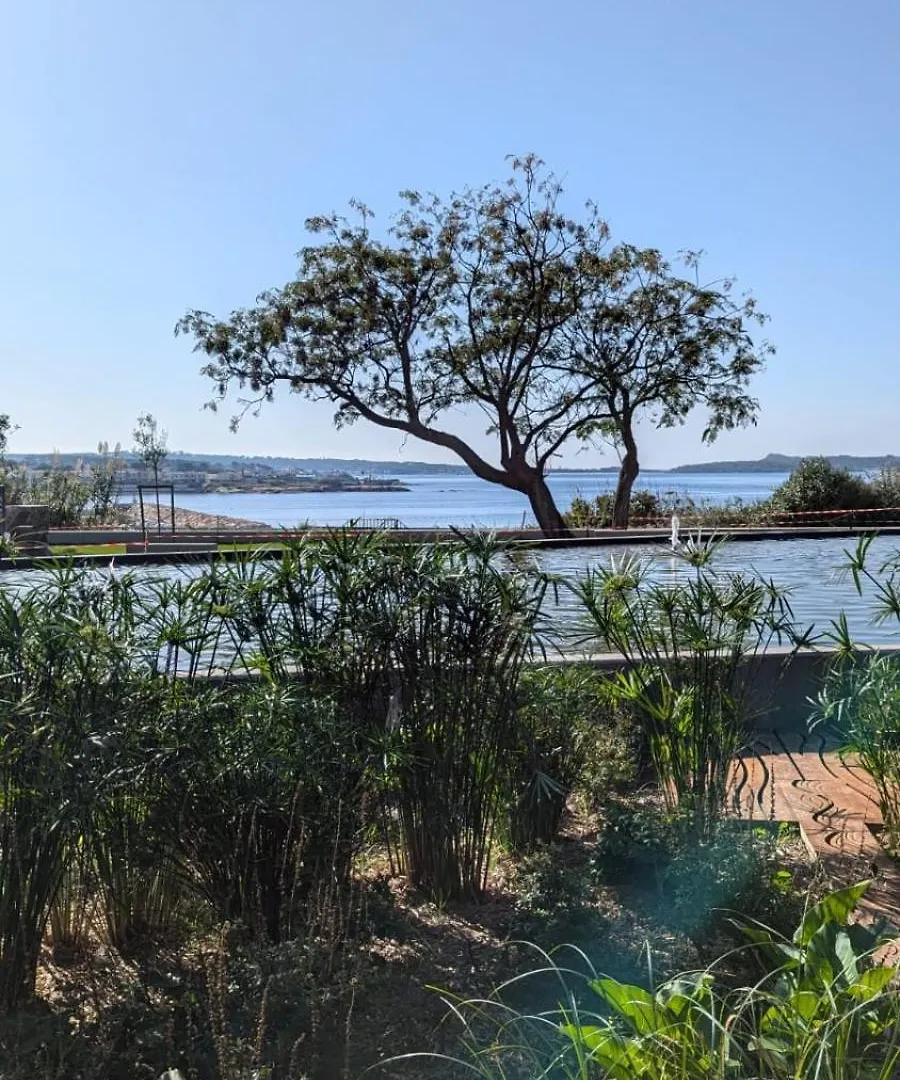 Studio Avec Rez De Jardin Six-Fours-les-Plages France